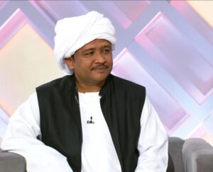 هاشم محمود